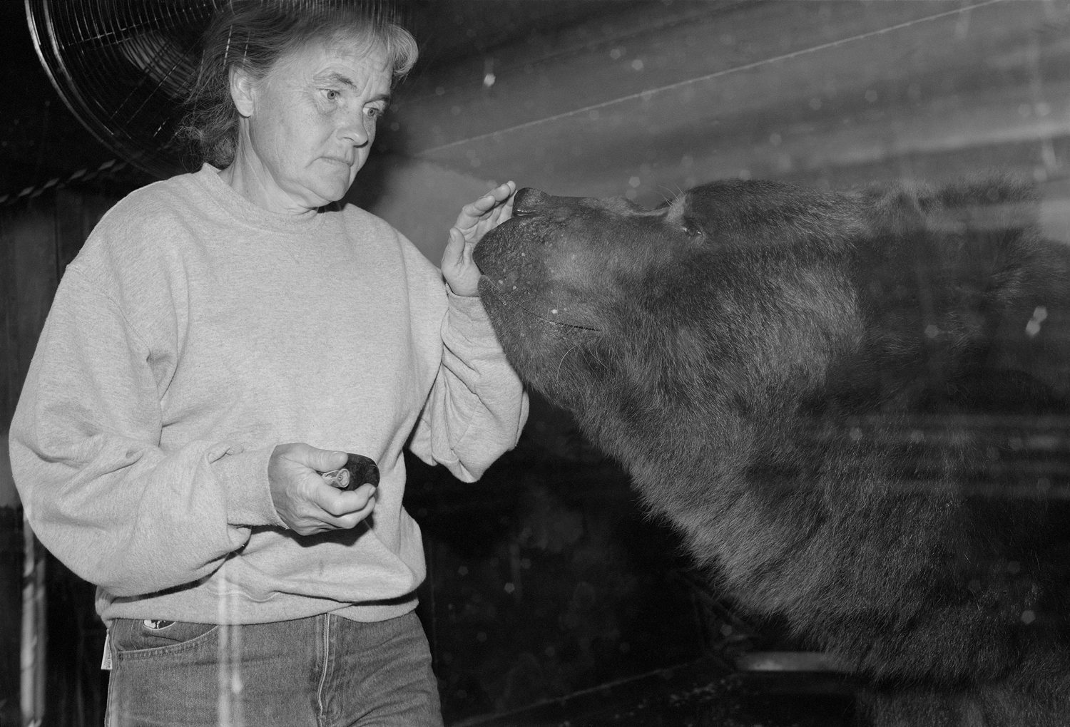 Moral I — Sergio Purtell